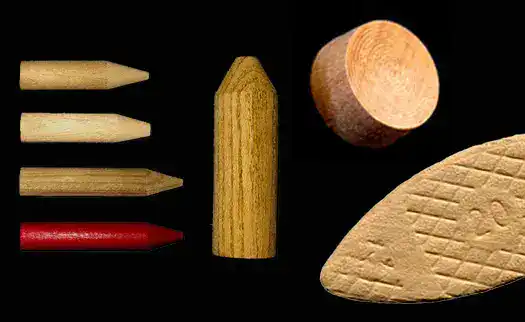 BUTTONS, PLUGS AND BISCUITS COVER PHOTO